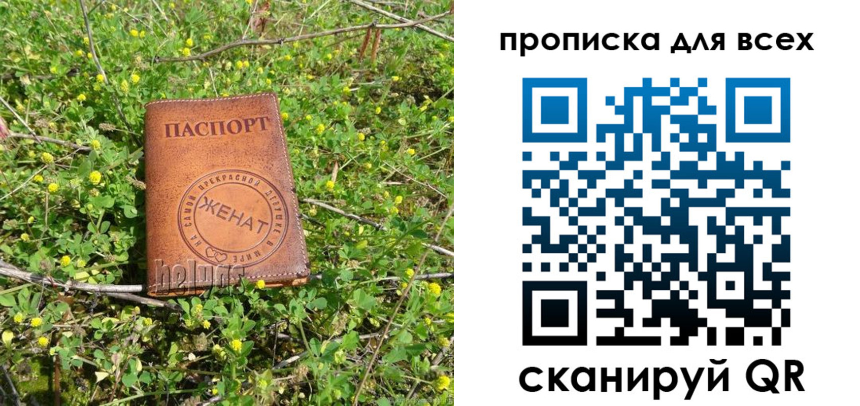 прописка поиск в Хадыженске
